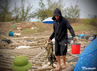 Quảng Ninh: Người dân đổ xô đi câu cá sau bão