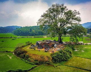 Tuyên Quang: Ưu tiên phát triển KTXH vùng đồng bào dân tộc thiểu số