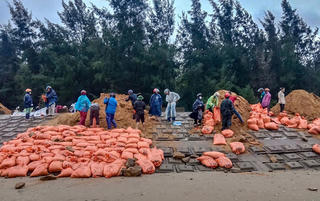 Hà Tĩnh: Hàng trăm người tham gia khắc phục xói lở, sụt lún kè biển