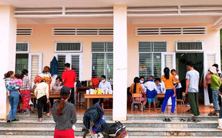 Khẩn cấp dập bệnh ghẻ