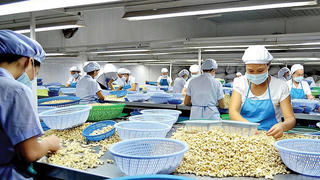 Gia tăng “bẫy” lừa đảo xuất khẩu