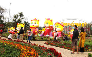 Quảng Nam: Chiêm ngưỡng dàn linh vật mèo ngộ nghĩnh, đáng yêu  