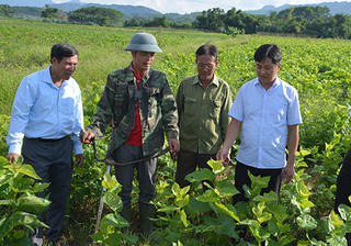 Nâng cao hiệu quả công tác tuyên truyền