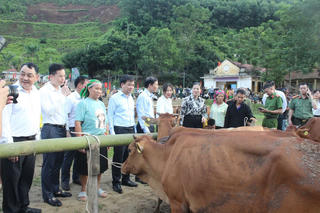 Sinh kế bền vững- đòn bẩy giúp bà con thoát nghèo.