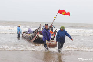 Thu hoạch 'vàng trắng' ngày biển động