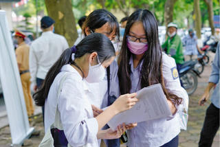 Không chọn trường theo 'hiệu ứng' đám đông