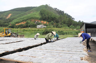 Những miền quê nông thôn mới rộn vang tiếng cười