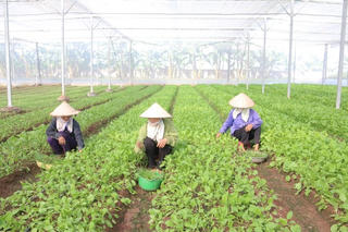 Khơi sức dân xây dựng nông thôn mới nâng cao
