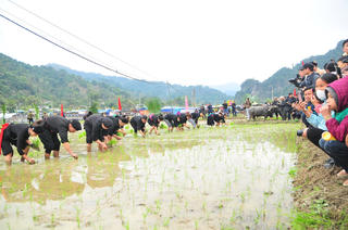 Sôi động Lễ hội Lồng Tông