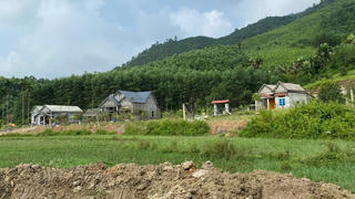 Phú Thọ: Đất nông nghiệp bị san lấp trái phép