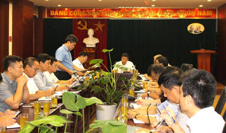 Hà Nội: Tập trung cứu khoảng 3 nghìn cây xanh bị gãy, đổ