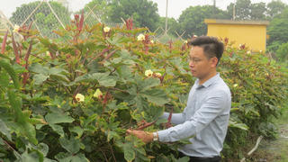 Chàng trai bỏ dạy học về làm giàu bằng nghề nông