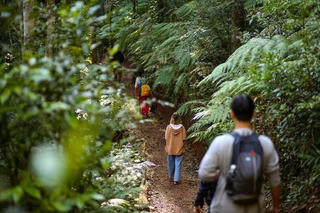 Khi Gen Z chữa lành