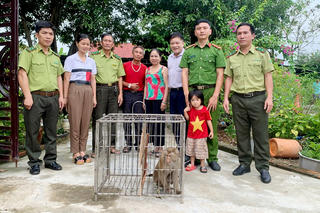 Người dân Hà Tĩnh giao nộp 4 động vật quý hiếm để thả về môi trường tự nhiên