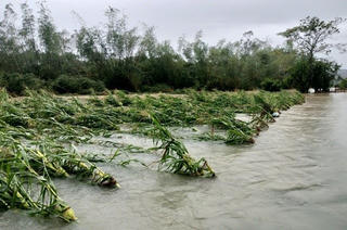 Ngày 16/10, vùng áp thấp có thể mạnh thêm, miền Trung tiếp tục mưa lớn