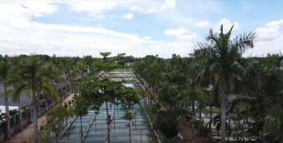 Mô hình nuôi cá cảnh công nghệ cao của hợp tác xã Sinh vật cảnh Sài Gòn