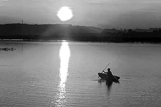 Bắt ếch đêm trăng