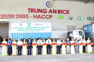 Xuất khẩu lô hàng 'Gạo Việt xanh phát thải thấp' đầu tiên sang Nhật Bản
