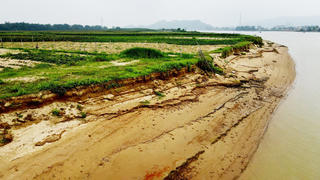 Hà Tĩnh: Sạt lở bờ sông Lam, người dân lo lắng mất đất sản xuất