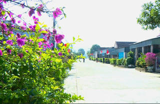 Xây dựng nông thôn mới 'không có điểm dừng'