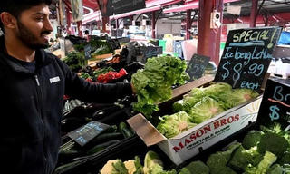 Australia điêu đứng trước cuộc khủng hoảng rau quả sạch