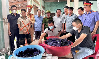 Quảng Bình: Bắt 2 đối tượng vận chuyển 26kg ma tuý