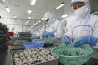 Doanh nghiệp lấy lại đà tăng