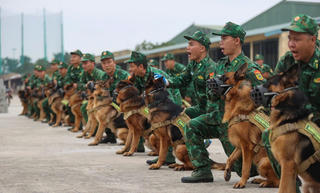 Quân khuyển hăng hái tập luyện chuẩn bị cho Triễn lãm Quốc phòng quốc tế Việt Nam