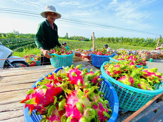 Gỡ điểm nghẽn xuất khẩu nông sản