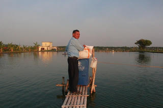 Nam Định: Hơn 94 000 ha lúa, hoa màu, ao đầm thủy sản ‘đối mặt’ bão Yagi