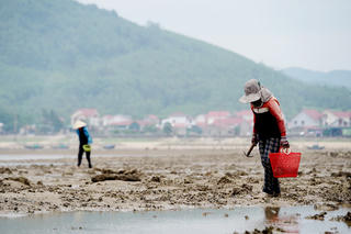 Mưu sinh dưới chân cầu Cửa Nhượng