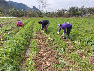 Bắc Kạn: Đẩy mạnh tiêu thụ sản phẩm gắn với xúc tiến thương mại
