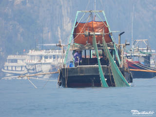 Tàu giã cào "đại náo" vịnh Hạ Long