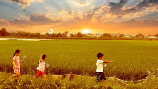 Hương đồng trong gió mùa thu           