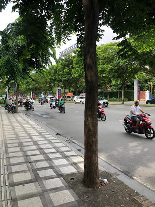 TP HCM dùng bê tông thấm nước để bảo vệ gốc cây