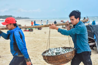 Trúng ‘lộc biển’ ngư dân ở Quảng Trị thu tiền triệu sau một buổi ra khơi