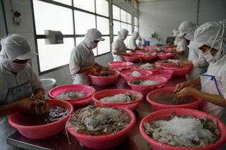 Thủy sản xuất khẩu lấy lại đà tăng