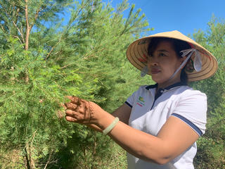 Chuyển nghề sau phá sản vì 'vàng trắng', nữ nông dân thu 3 tỷ đồng mỗi năm