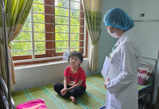 Giao mùa, lo ngại kiến ba khoang