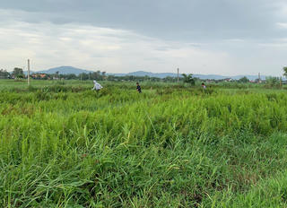 Gia Lai: Sẵn sàng cho tuyến đường sắt tốc độ cao Bắc – Nam