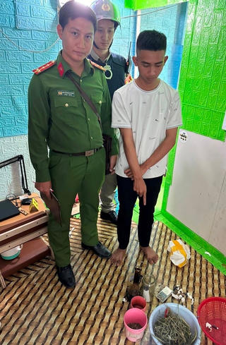 Bạc Liêu: Phát hiện nam sinh viên trồng cần sa trên nóc nhà