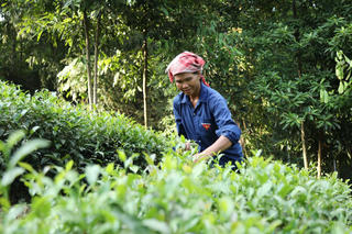 Giải quyết những khó khăn cho đồng bào dân tộc thiểu số