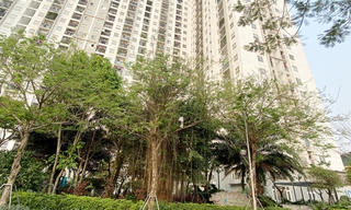 Tháo gỡ khó khăn, vướng mắc trong triển khai thực hiện dự án bất động sản