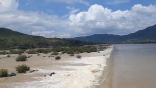 Phú Yên: Triển khai phòng chống hạn hán, thiếu nước và xâm nhập mặn năm 2025