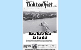 Tìm đọc Tinh hoa Việt số 227, phát hành ngày 10/9/2024