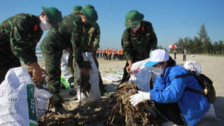 Ngày môi trường thế giới (5/6): Sống xanh cho Trái đất thêm xanh
