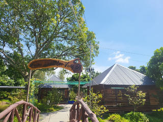 Đồng Tháp: Không để người dân làm nông nghiệp sinh thái đơn độc