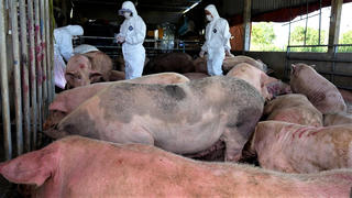 Quảng Ngãi yêu cầu không để việc sắp xếp tổ chức, bộ máy ảnh hưởng công tác chống dịch