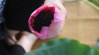 Thức uống không thể bỏ lỡ của người Hà Nội vào mùa hè