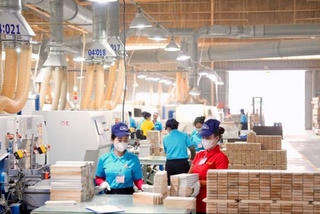 Kế hoạch hành động của Chính phủ về phát triển kinh tế tư nhân